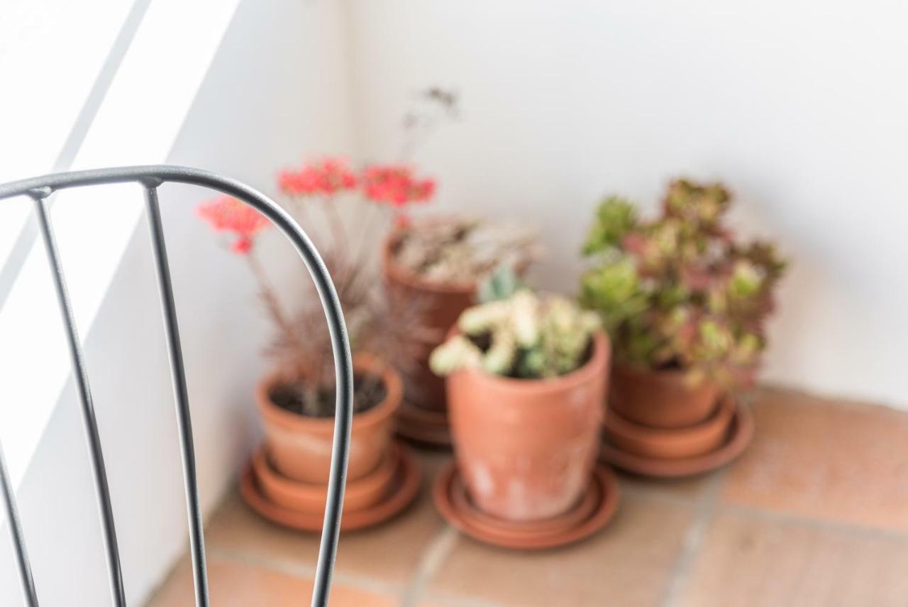 Guestready - Cactus Balcony - Free Private Parking Apartamento Porto Exterior foto
